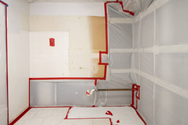 Best Mold Remediation for Healthcare Facilities  in Bolivar Peninsula, TX