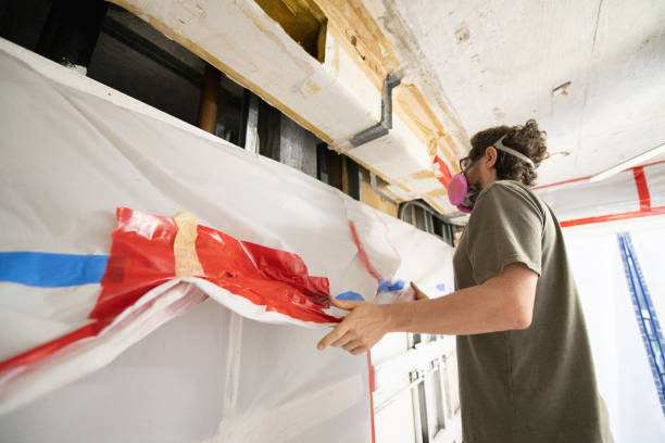 Best Basement Mold Removal  in Bolivar Peninsula, TX
