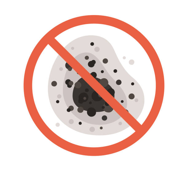 Best Mold Removal for HVAC Installations  in Bolivar Peninsula, TX